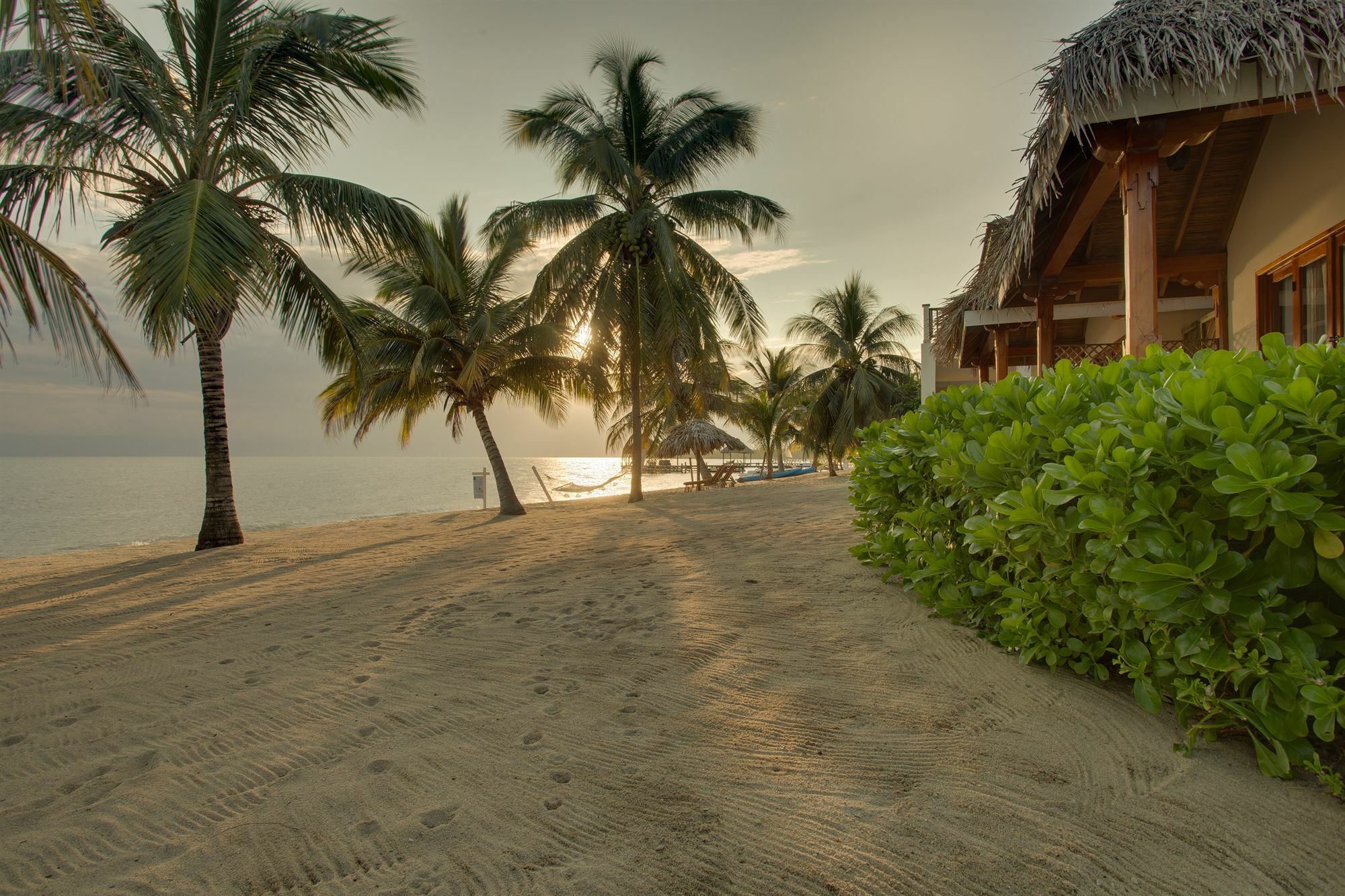 The Lodge At Jaguar Reef Hopkins Eksteriør bilde